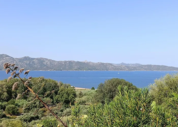 Διαμέρισμα Cosy Vue Patrimonio